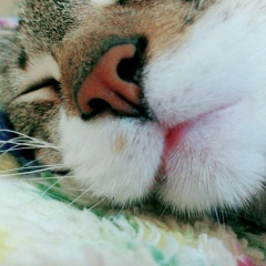 Maria Lu, 02.07, Córdoba