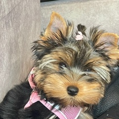 Кристина Гиоргадзе, 26.07.1994, Тбилиси