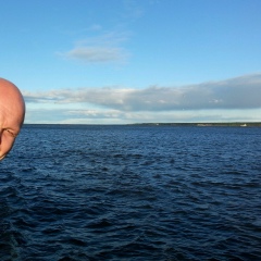 Сергей Сальников