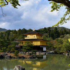 Юлия Позняковская, 26.09.1985, Львов