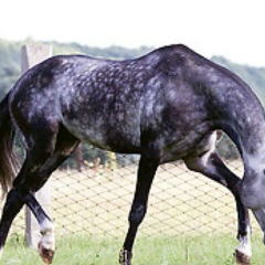 Айбар Бекболатов, 03.08.1981, Алматы