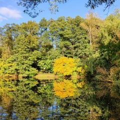 Silent Hill, 07.05.1973, Москва