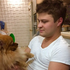 Александр Шальнев, Воронеж