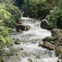 Наталья Фирсова, 06.06, Москва