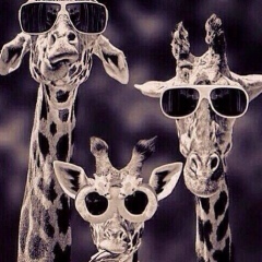 Marzhan Kozhamzharova, 05.05.1986, Астана