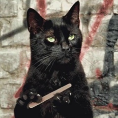 Артем Сахаров, 28.02.1984, Москва