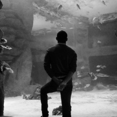 Денис Васильевич, 14.09.1994, Москва