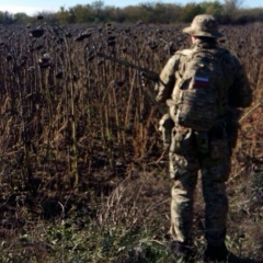 Олег Зиновьев, 17.04.1980, Ростов-на-Дону