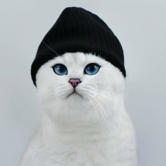 Всеволод Ларионов, 06.05.2004, Санкт-Петербург