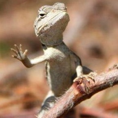 Дмитрий Переверзев, 08.12.1982, Курск