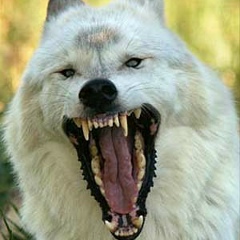 Muhammad Dundaev, 10.02.1994, Грозный