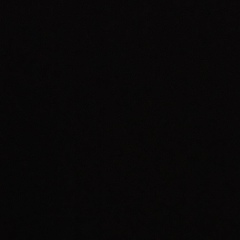 Дмитрий Московский, Москва