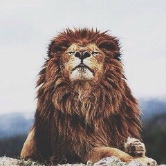 Орынбасар Утегенов, 31.03.1997, Алматы