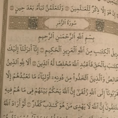 Dinara Altay, 10.10, Алматы