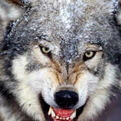 Стас Харьковский, 22.09