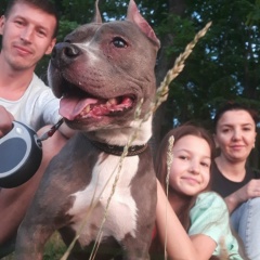 Сергей Черепанов, 08.02, Ульяновск