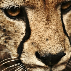 Ким Вензель, 10.09, Якутск