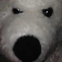 Медвежонок Медвежо, 11.06, Санкт-Петербург