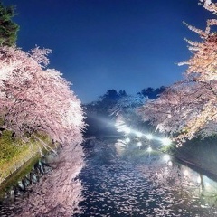 Евгений Будилов, 31.07.1985, Санкт-Петербург