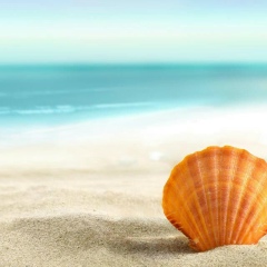 Эльмира Бодыкова, 01.01