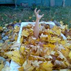 Сергей Абрамов, 07.05.1988, Санкт-Петербург