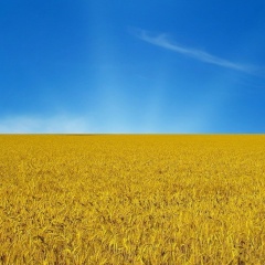 Vladimir Sergeevich, 01.01, Одесса