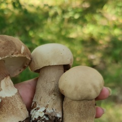 Татьяна Чеширская, 28.09.1991, Москва