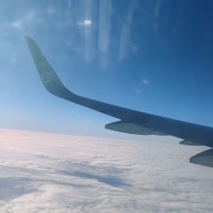 Алексей Зубов, Новосибирск