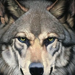 Кирилл Васильев, 26.08