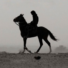 El'dar Gazaev, 24.12