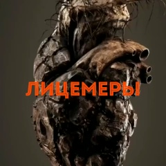Ильяс Габиев, 11.06.1987, Грозный