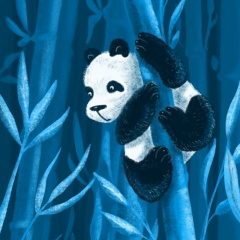 Даша Жабровская, 29.11, Москва