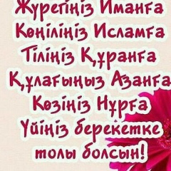 Айдана Шаминова, 28.12.1995