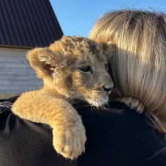 Татьяна Иванова, Москва