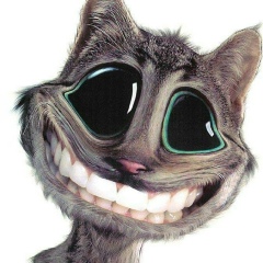 Крістіан Ернеі, 05.01, Мукачево