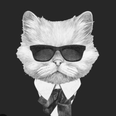 Евгений Вунш, 01.08, Ростов-на-Дону