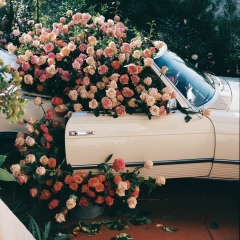 Daniela Marzhina, Москва