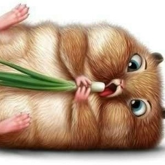 Айжан Рахим, 01.02, Астана