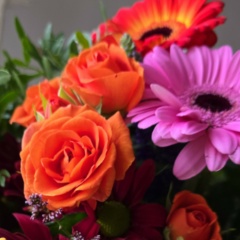 Юлия Гетте, 16.03.1988, Munster