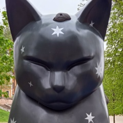 Александр Огородников, 16.01.1988, Санкт-Петербург