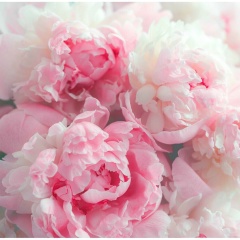 Екатерина Серова, 01.02, Санкт-Петербург