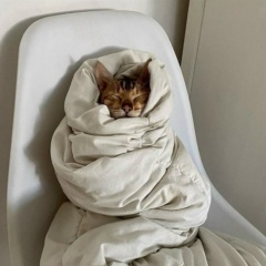 Вероника Анатольевна, 25.07, Москва