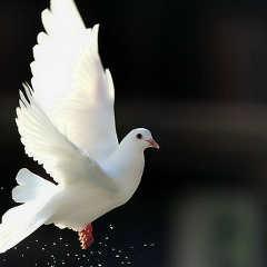 Асыл Камалов, 06.10.1989, Алматы