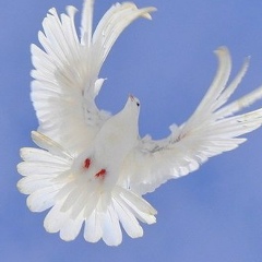 Светлана Дирвялене, 09.11, Санкт-Петербург