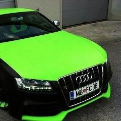 Марк Двибородчин, Новочеркасск