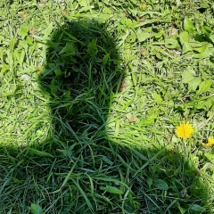 Сергей Козлов, 09.06.2000, Вологда