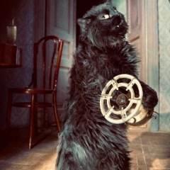 Зубайр Муртазов, 07.09, Грозный