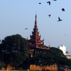 Kim-Ka Thu, 11.07.1979