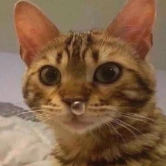 Максим Корсаков, 18.03