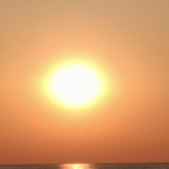 Алексей Розин, 25.11, Санкт-Петербург